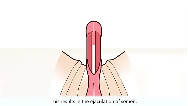 Fresh The male orgasm explained drive Tube