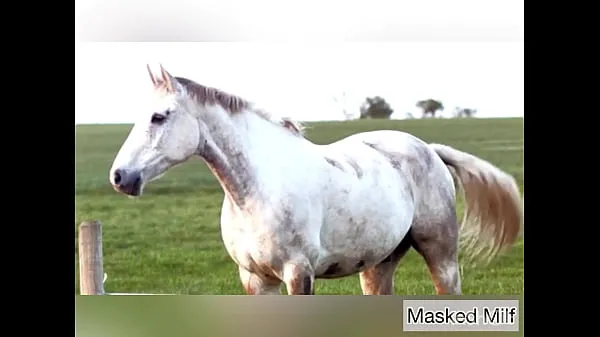 Fresh Horny Milf takes giant horse cock dildo compilation | Masked Milf drive Tube